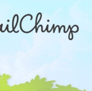 Mailchimp for WordPress - Mailchimp插件高级版