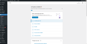 自定义你的商店 - 设计WooCommerce商店的新方法