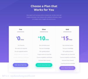 使用Divi创建在线学习管理 (LMS) 网站