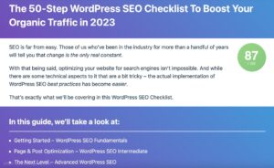 Google SEO内容指南：您实现最大自然流量的路线图