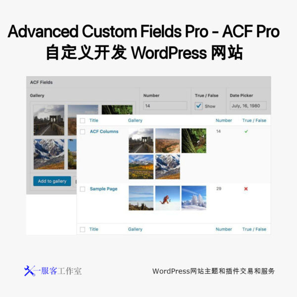 Advanced Custom Fields Pro – ACF Pro 自定义开发 WordPress 网站 - 吾店云