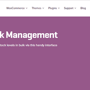 Woocommerce Bulk Stock Management