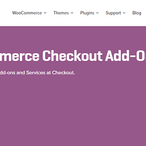 如何创建WordPress网站产品目录 7 WooCommerce Checkout Add-Ons WooCommerce电商结账附加产品和服务