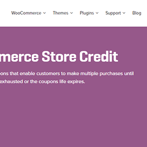 WOOCOMMERCE STORE CREDIT
