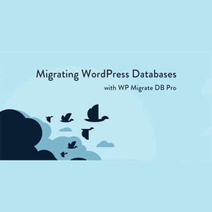 WP Migrate DB Pro 最受专家信赖的WordPress 站点迁移插件