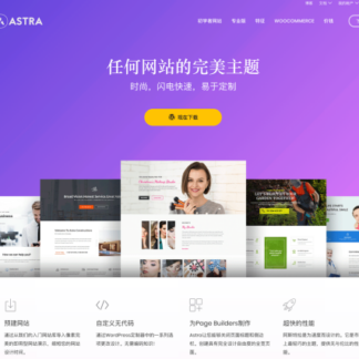 Astra theme 阿斯特拉 WordPress 主题