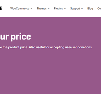 WooCommerce Name Your Price 电商产品客户定价