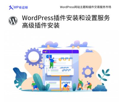 WordPress插件安装和设置服务 高级插件安装