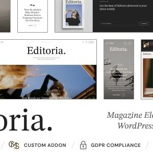 如何创建WordPress网站产品目录 2 Editoria 1.2.2 – Newspaper & Magazine WordPress Theme – 新闻门户与杂志主题_image